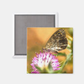 Wall Brown Butterfly Lasiommata megera Painting Magneet (Voorkant / Achterkant)