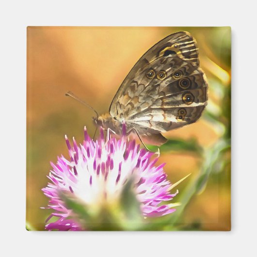 Wall Brown Butterfly Lasiommata megera Painting Magneet (Voorkant)