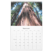 Wall Calendar 2026 Richardson Grove - Single Sheet Kalender (Mar 2027)
