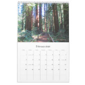 Wall Calendar 2026 Richardson Grove - Single Sheet Kalender (Feb 2026)