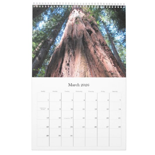 Wall Calendar 2026 Richardson Grove - Single Sheet Kalender (Mar 2026)