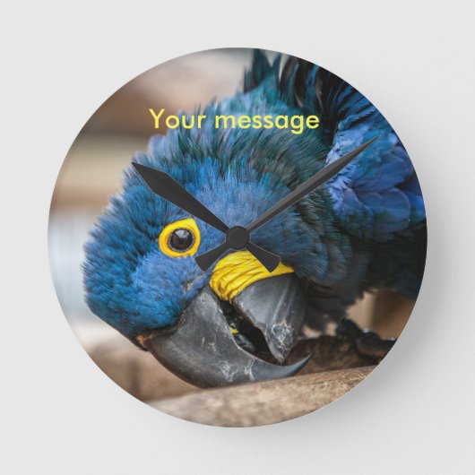Wall clock featuring cute Hyacinth Macaw parrot Ronde Klok (Voorkant)