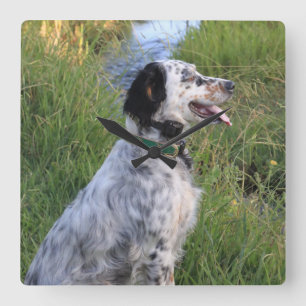 Wall Clock with Dogs of the Feather Llewellin Vierkante Klok