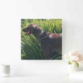 Wall Clock with German Shorthair Pointer Vierkante Klok (Huis)