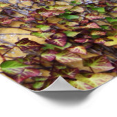 Wall Coverage - Ierland Poster (Hoek)