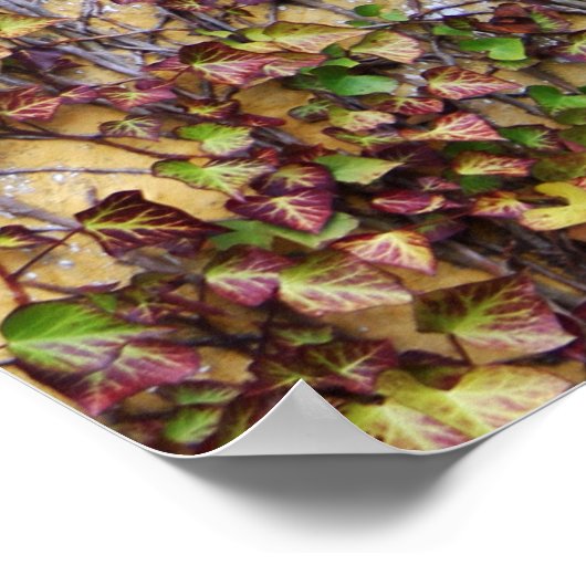 Wall Coverage - Ierland Poster (Hoek)