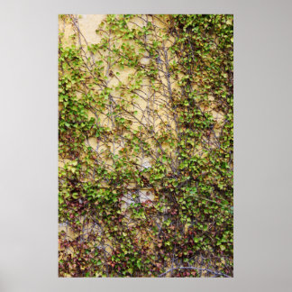 Wall Coverage - Ierland Poster