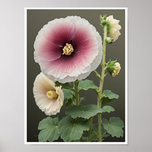 Wall Poster Mooie Hollyhock Flower Wall Art (Voorkant)