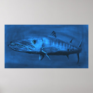 WALL SIZED—HEEL Sized Blue Barracuda Poster