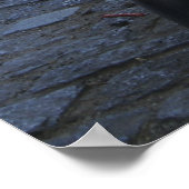 Wall Street Bull Poster (Hoek)