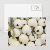 Walla Walla Sweet Onions Briefkaart (Voorkant / Achterkant)