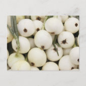 Walla Walla Sweet Onions Briefkaart (Voorkant)