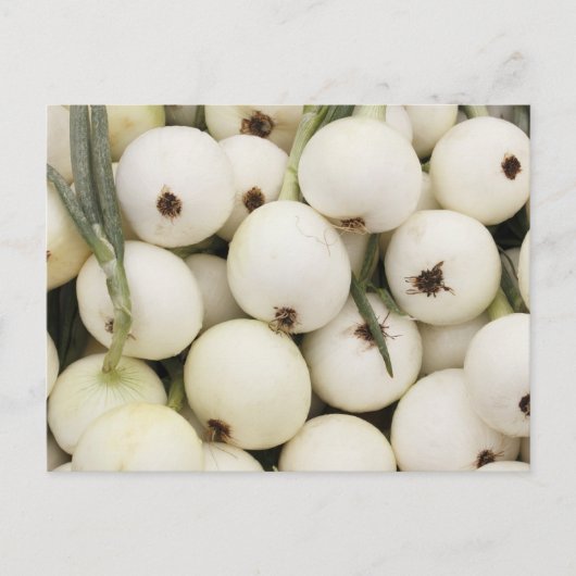 Walla Walla Sweet Onions Briefkaart (Voorkant)