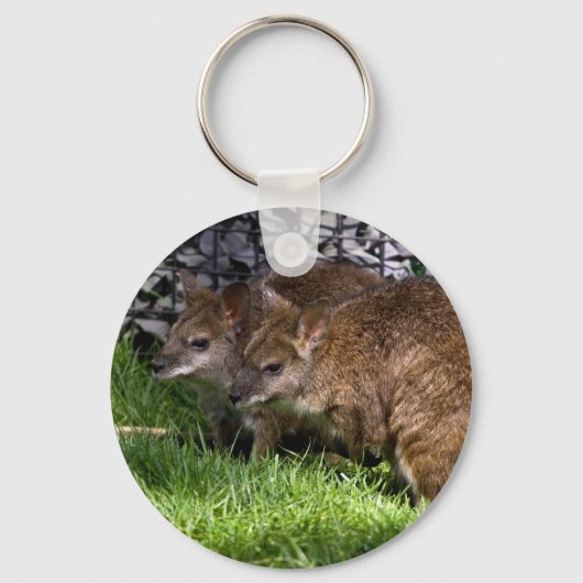 Wallabies Sleutelhanger (Voorkant)