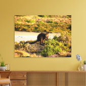 Wallaby aan de Riverside Canvas Afdruk (Insitu (Woonkamer))