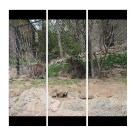 Wallaby Animal Zoo personaliseert Destiny's Drieluik