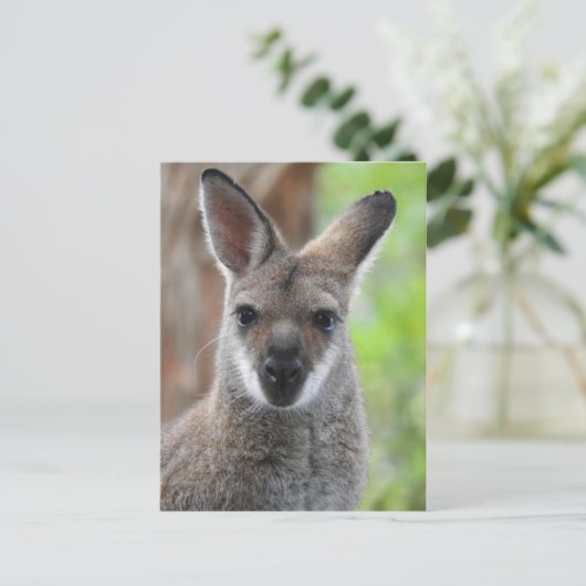 Wallaby Briefkaart (Staand voorkant)