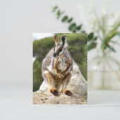 Wallaby Briefkaart (Staand voorkant)