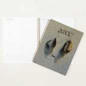 Wallaby Footprint in Sand Planner (Display)
