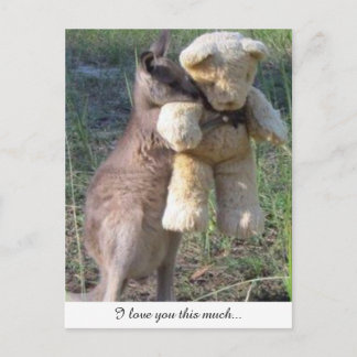 Wallaby knuffelt teddybeer briefkaart houdt van je