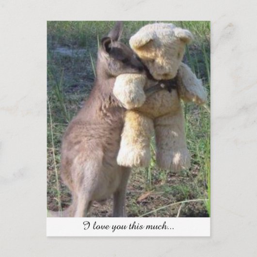 Wallaby knuffelt teddybeer briefkaart houdt van je (Voorkant)