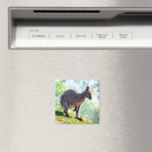 Wallaby Magneet (Insitu (Vaatwasser))