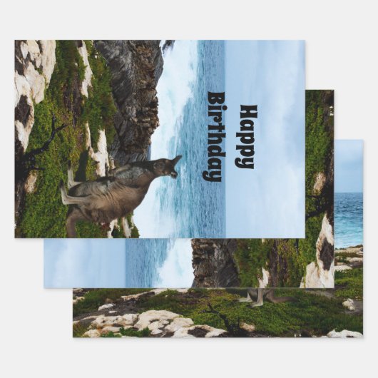 Wallaby on Seaside Rocks, Gift Wrap Sheets Inpakpapier Vel (Set)