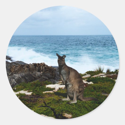 Wallaby on Seaside Rocks, ronde Stickers (Voorkant)