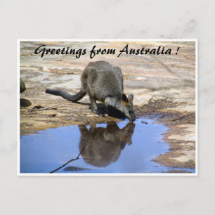 wallaby reflectiegroeten briefkaart