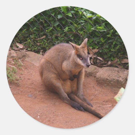 Wallaby Ronde Sticker (Voorkant)