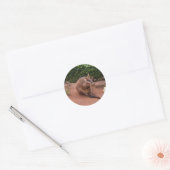 Wallaby Ronde Sticker (Envelop)
