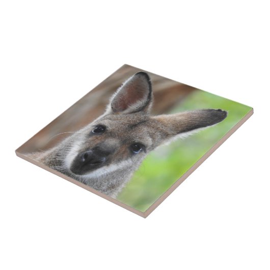 Wallaby Tile Tegeltje (Zijkant)