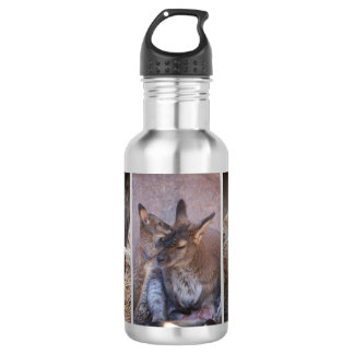 Wallaby Water Fles