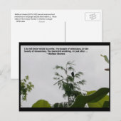 Wallace Stevens Quote Briefkaart (Voorkant / Achterkant)