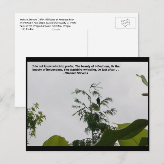 Wallace Stevens Quote Briefkaart (Voorkant / Achterkant)