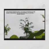 Wallace Stevens Quote Briefkaart (Voorkant)