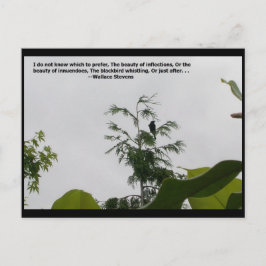 Wallace Stevens Quote Briefkaart