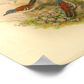 Wallace's Todopsis Wren Brown Bird  Print (Hoek)