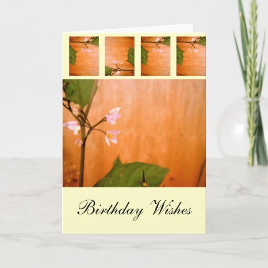 Wallbloem Kaart (Voorkant)