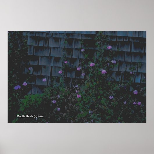 Wallbloemen Poster (Voorkant)