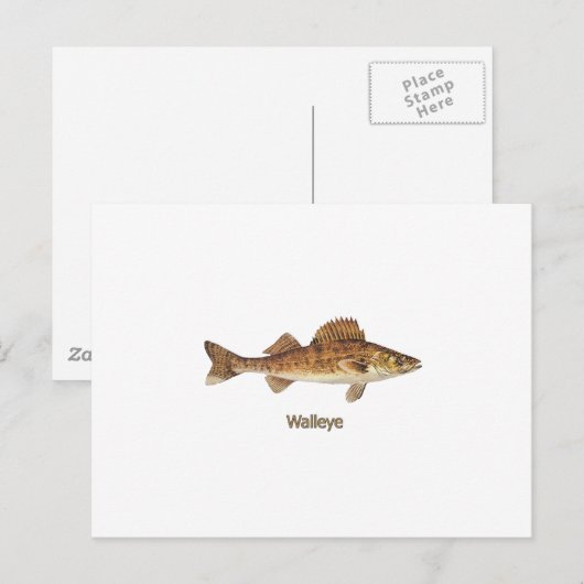 Walleye Art Briefkaart (Voorkant / Achterkant)