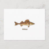 Walleye Art Briefkaart (Voorkant)