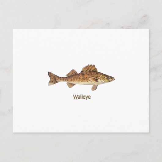 Walleye Art Briefkaart (Voorkant)
