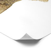 Walleye Art Poster (Hoek)