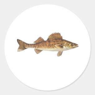 Walleye Art Ronde Sticker