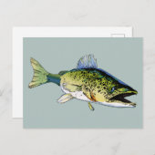 Walleye Briefkaart (Voorkant / Achterkant)