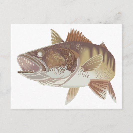 Walleye Briefkaart (Voorkant)