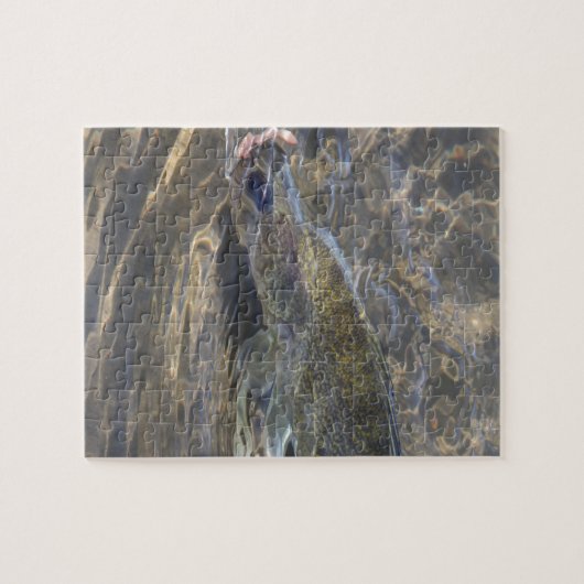 Walleye Caught Legpuzzel (Horizontaal)