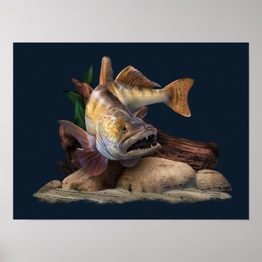 Walleye Gevist illustratie, Walleye Visser Poster (Voorkant)