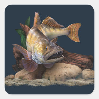 Walleye Gevist illustratie, Walleye Visser Vierkante Sticker
